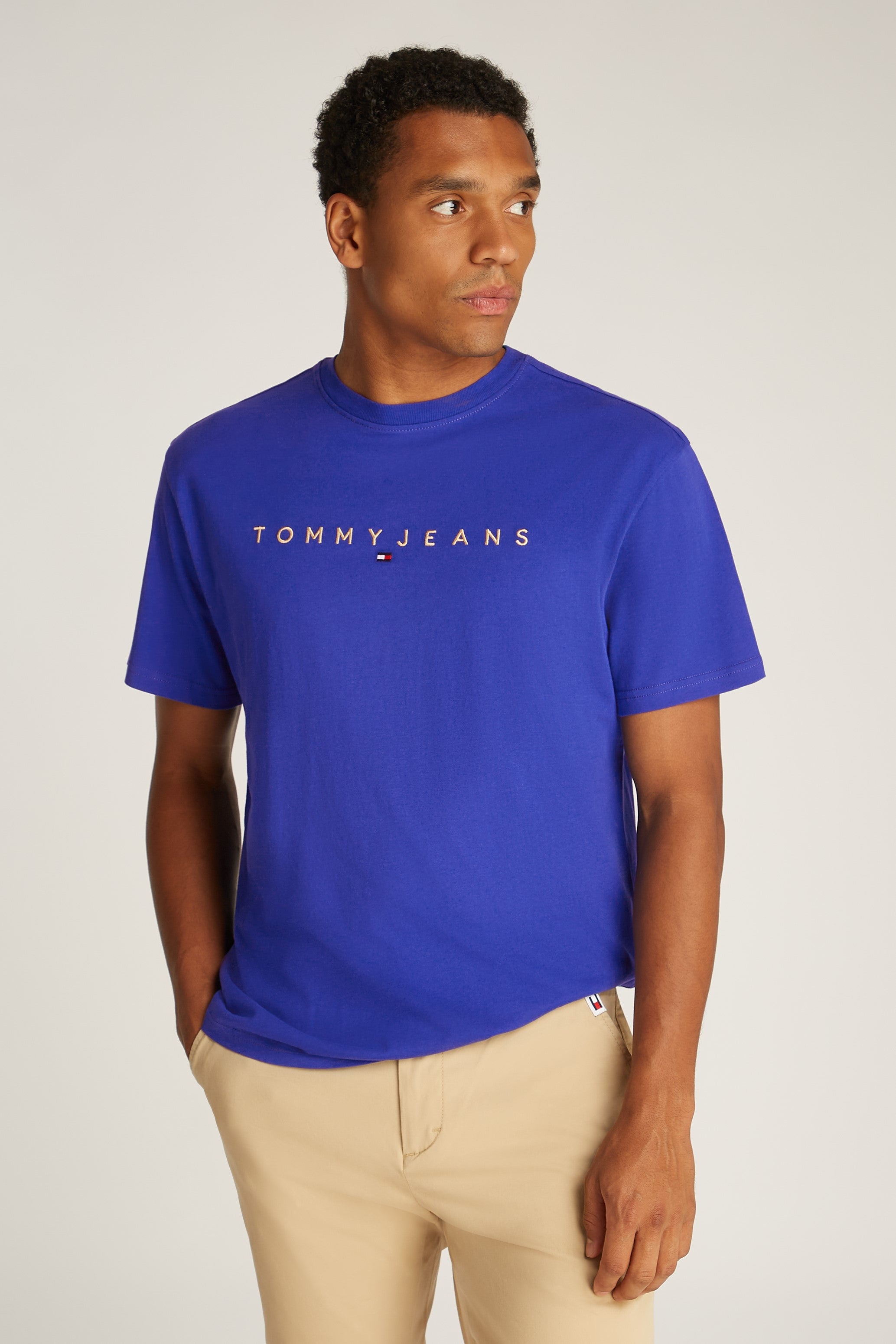 Tommy Jeans Reg Gold Linear Tee